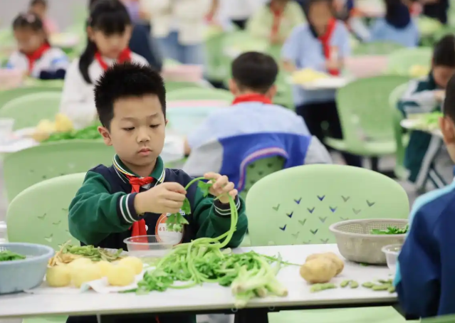 学段为阶依据不同年级孩子的认知特色设