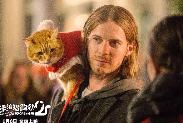 《流浪猫鲍勃2:鲍勃的礼物》定档8月6日 鲍勃猫延续最后的温暖