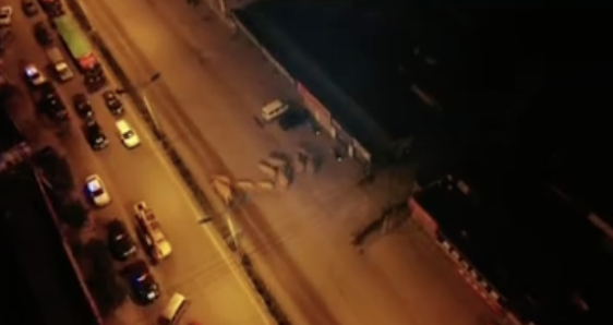 15头野生亚洲象走上玉溪峨山街头!专家:有继续北迁的趋势