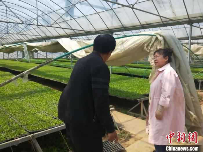 图为农业技术人员上门开展农业技术服务。 赵彦杰 摄  山西上党建云端“农业诊所” 线上问诊护航春耕生产